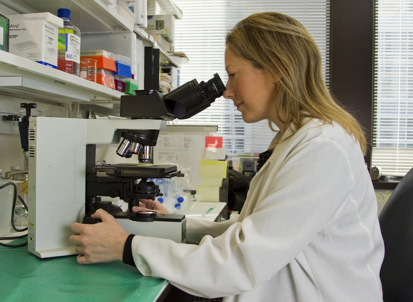 Laboratory scientist examining a sample through a microscope